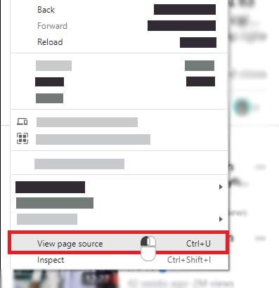 Open the page source code